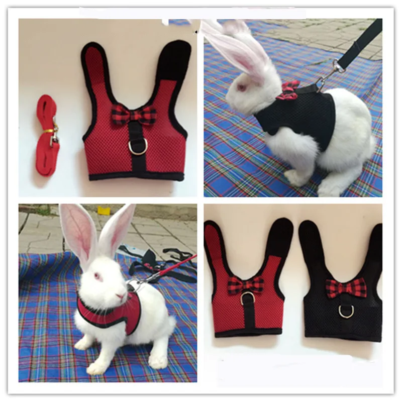 Small Pet Rabbits Cat Vest Harness With Leash For Hamster Bunny Ferret Guinea Puppies Kittens Chest Strap Mesh Harnesses
Small Pet Rabbits Cat Vest Harness With Leash For Hamster Bunny Ferret Guinea Puppies Kittens Chest Strap Mesh Harnesses