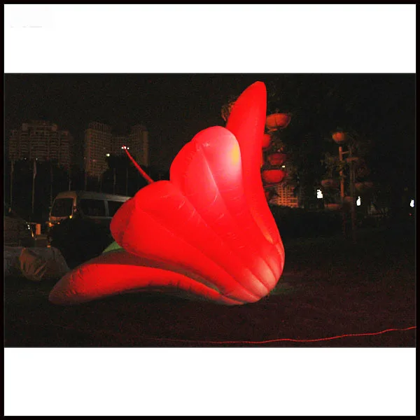 Free shipment 2.5m indoor and outdoor events idear and celebrations inflatable flower
Free shipment 2.5m indoor and outdoor events idear and celebrations inflatable flower