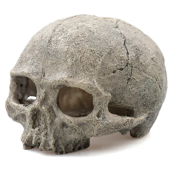Halloween Skull head Fish Tank Decor Aquarium Decorative Resin Skull Crawler Dragon Lizards Decoration Ornament P20
Halloween Skull head Fish Tank Decor Aquarium Decorative Resin Skull Crawler Dragon Lizards Decoration Ornament P20