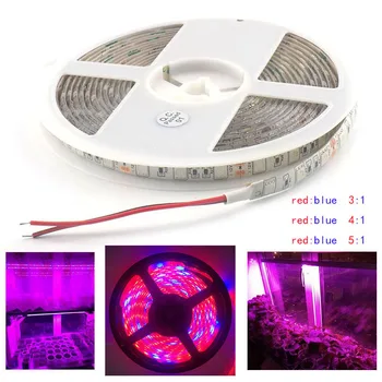 Waterproof Growing LED Strip Light Red and Blue SMD 1M 2M 3M 4M 5M 5050 grow strip led lamp for greenhouse plants
Waterproof Growing LED Strip Light Red and Blue SMD 1M 2M 3M 4M 5M 5050 grow strip led lamp for greenhouse plants