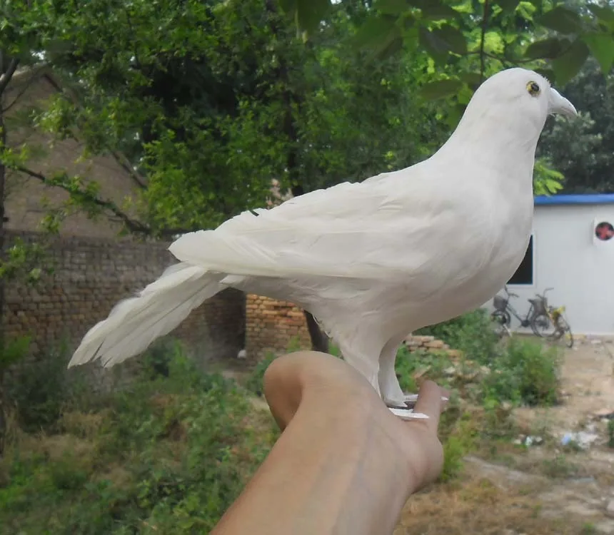 plastic&feather dove simulation dove toy large 30cm white feathers bird of peace, decoration ,Prop,toy gift w5550
plastic&feather dove simulation dove toy large 30cm white feathers bird of peace, decoration ,Prop,toy gift w5550
