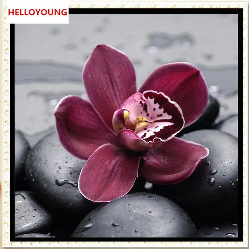 YGS-536 DIY Partial 5D Diamond Embroidery The flower Round Diamond Painting Cross Stitch Kits Diamond Mosaic home Decoration
YGS-536 DIY Partial 5D Diamond Embroidery The flower Round Diamond Painting Cross Stitch Kits Diamond Mosaic home Decoration
