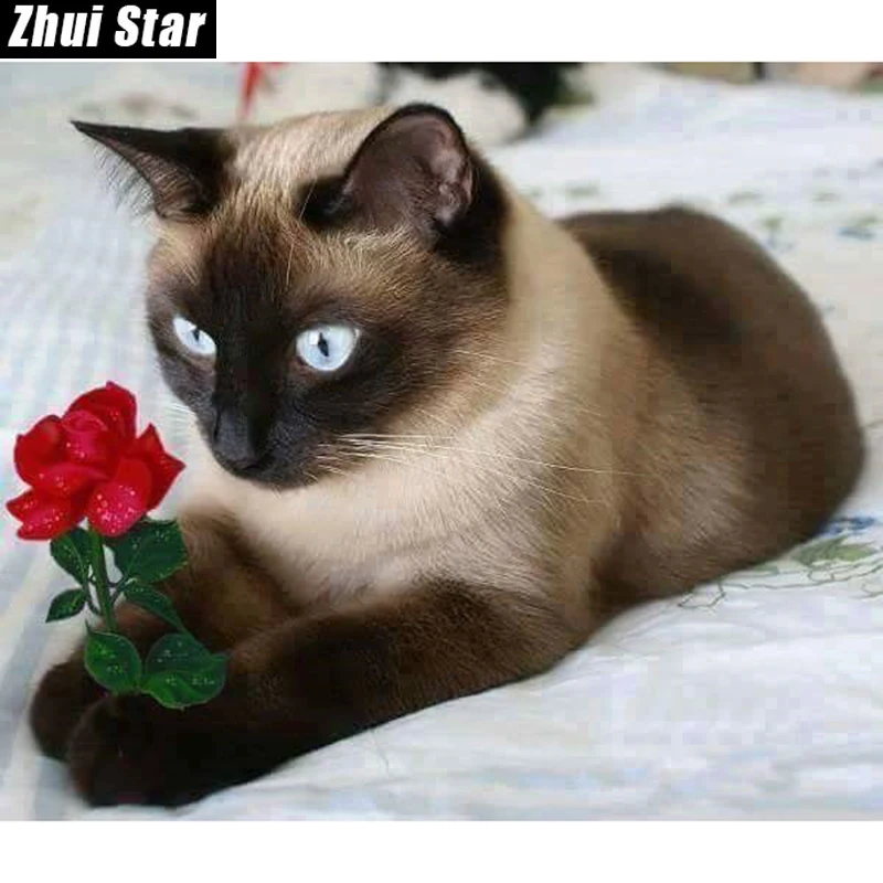Full Square Diamond 5D DIY Diamond Painting "Cat and rose" Embroidery Cross Stitch Rhinestone Mosaic Painting Decor
Full Square Diamond 5D DIY Diamond Painting "Cat and rose" Embroidery Cross Stitch Rhinestone Mosaic Painting Decor