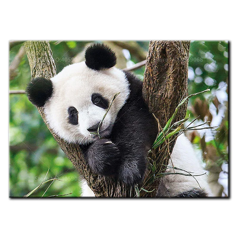 Full Square/Round drill Diy diamond Painting 5D diamond embroidery Panda climb tree Diamond mosaic Home Decor Gift B1216
Full Square/Round drill Diy diamond Painting 5D diamond embroidery Panda climb tree Diamond mosaic Home Decor Gift B1216