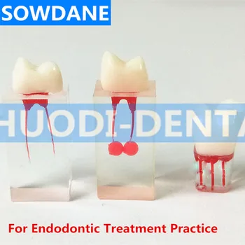 1 pcs 1:1 Dental Tooth Model Root Canal Teaching Studying RCT Practice Operation Pulp Cavity Clear Resin Dentaire Teeth Model
1 pcs 1:1 Dental Tooth Model Root Canal Teaching Studying RCT Practice Operation Pulp Cavity Clear Resin Dentaire Teeth Model