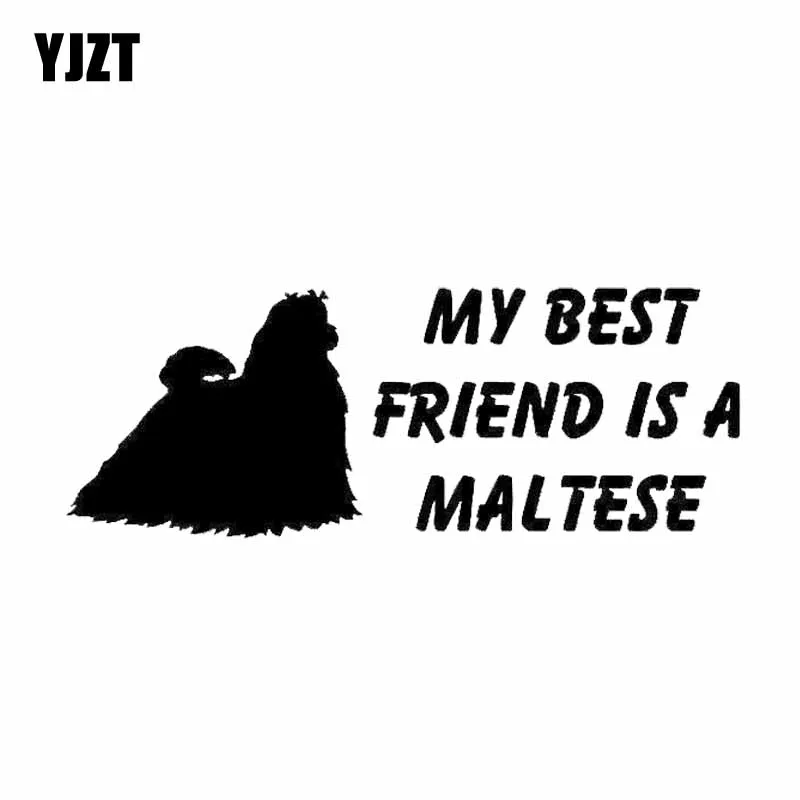 YJZT 18CM*6.7CM My Best Friend Is A Maltese Dog Vinyl Car Sticker Black/Silver C2-3202
YJZT 18CM*6.7CM My Best Friend Is A Maltese Dog Vinyl Car Sticker Black/Silver C2-3202