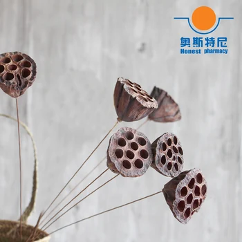 5pcs dried naturally flower bouquets small size naturally dired lotus seedpod&seedpod of the lotus without seed
5pcs dried naturally flower bouquets small size naturally dired lotus seedpod&seedpod of the lotus without seed