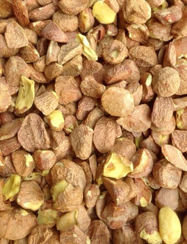 500g Chinese camellia japonica nutlet/Camellia oil raw material/for DIY oil manufacture/Handmade Soap material
500g Chinese camellia japonica nutlet/Camellia oil raw material/for DIY oil manufacture/Handmade Soap material