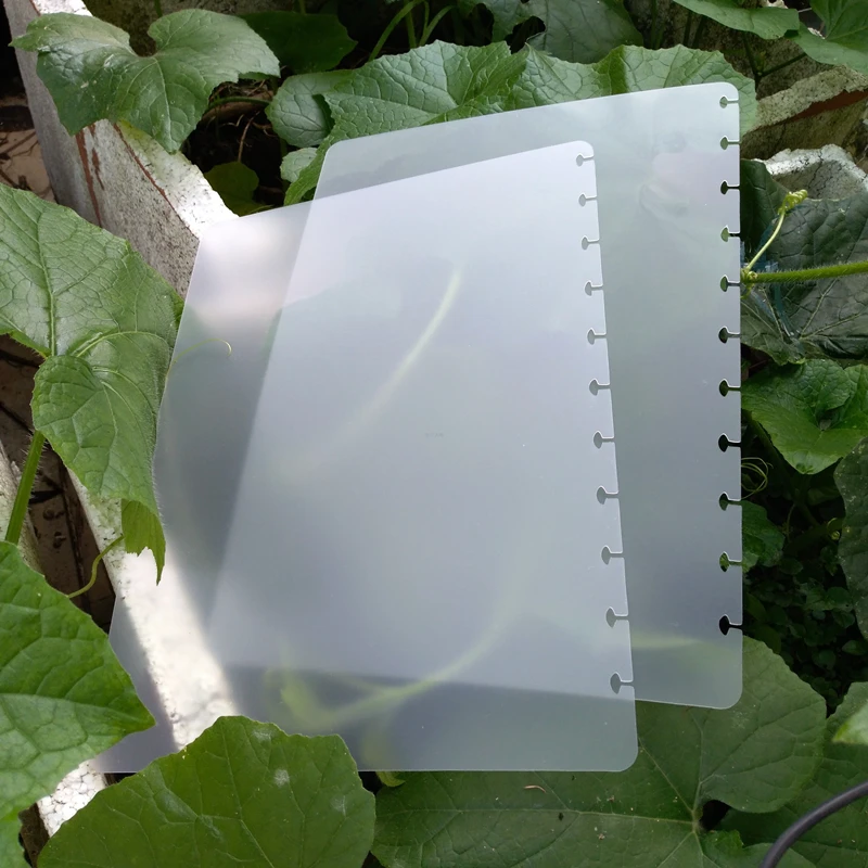2Pcs/Lot 11-hole Disc Book Index Page A4 Loose Leaf Replacement Transparent Cover Back Cover Notebook Slip Sheet Paper Bookmark
2Pcs/Lot 11-hole Disc Book Index Page A4 Loose Leaf Replacement Transparent Cover Back Cover Notebook Slip Sheet Paper Bookmark
