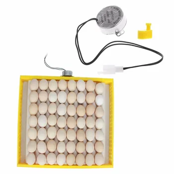 220V AC Chicken eggs Turner Motor Components For Farm Hatcher Incubator Brooder eggs incubator Farm Animals Accessories
220V AC Chicken eggs Turner Motor Components For Farm Hatcher Incubator Brooder eggs incubator Farm Animals Accessories