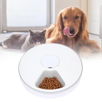 Outdoor Pet Water Dispenser Feeder Pet ProductDog Water Bottle Automatic Timing Pet Feeder Dog Cat Food Bowl Dispenser With
Outdoor Pet Water Dispenser Feeder Pet ProductDog Water Bottle Automatic Timing Pet Feeder Dog Cat Food Bowl Dispenser With
