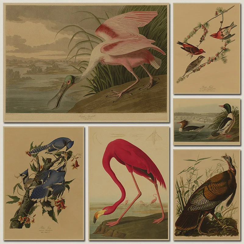 Bird species collection Retro poster Vintage painting home decor classic print and picture bar cafe paint wall art sticker
Bird species collection Retro poster Vintage painting home decor classic print and picture bar cafe paint wall art sticker