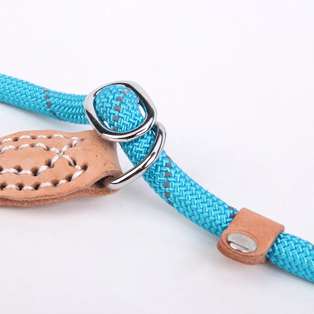 Dog Leash PY0237-5