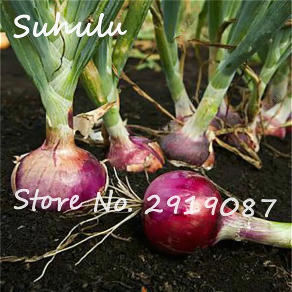 DF95536E66579E8C05F4700E976DE8B4