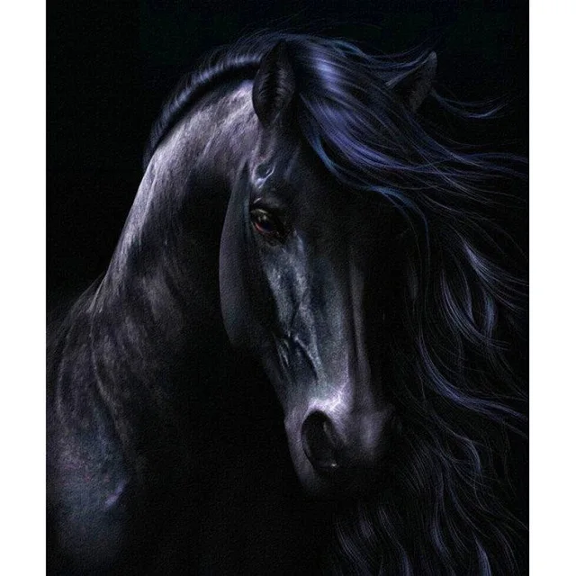 3D DIY Diamond Painting Handicraft Needlework Embroidery Resinstone Cross Stitch Mosaic Decoration Black Horse
3D DIY Diamond Painting Handicraft Needlework Embroidery Resinstone Cross Stitch Mosaic Decoration Black Horse