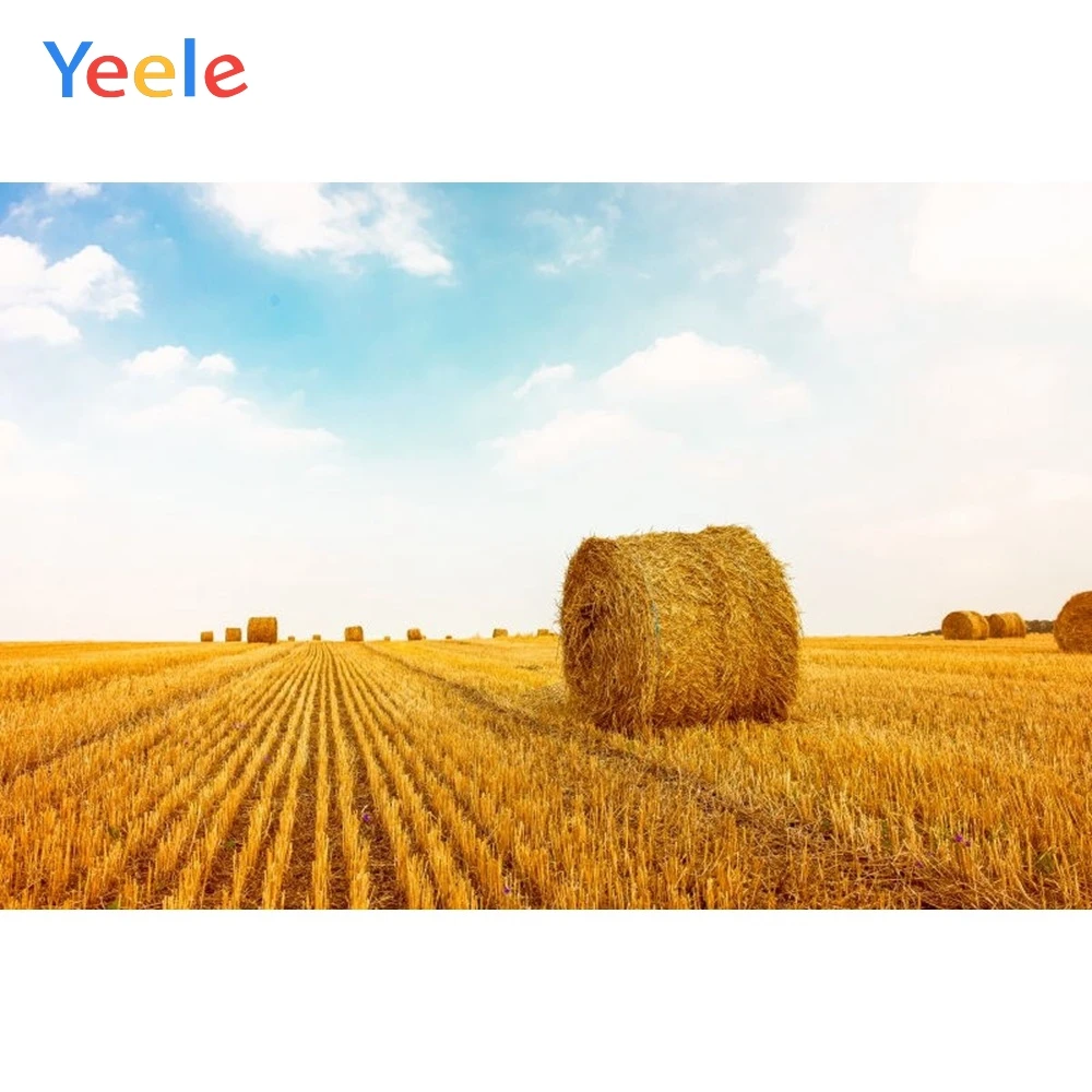 Yeele Vinyl Autumn Harvest Wheat Fields Haystack Scenery Photography Background Customized Photocall Backdrop For Photo Studio
Yeele Vinyl Autumn Harvest Wheat Fields Haystack Scenery Photography Background Customized Photocall Backdrop For Photo Studio