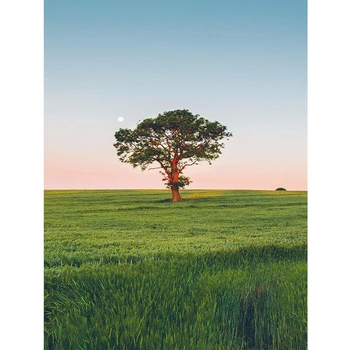 Diamond Cross stitch kit Diamond Embroidery Millennium Mosaic 3D Diamond Square Full Diamond Diy Drawing Big tree
Diamond Cross stitch kit Diamond Embroidery Millennium Mosaic 3D Diamond Square Full Diamond Diy Drawing Big tree