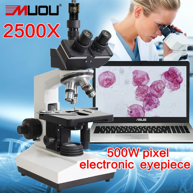 Top quality ! Lab Compound Biological Microscope-2500X LED Lab Trinocular Microscope Metal student +5MP electronic eyepiece
Top quality ! Lab Compound Biological Microscope-2500X LED Lab Trinocular Microscope Metal student +5MP electronic eyepiece
