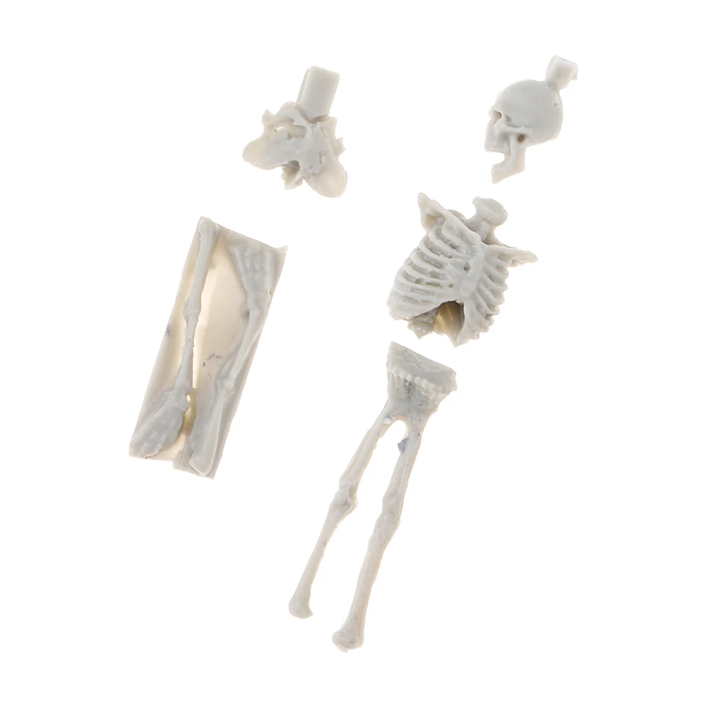 4Pcs 1:35 Scale Unpainted Unassemble Resin Skull Skeleton Model for Sand Table Armor Landcsape Diorama Building Toys