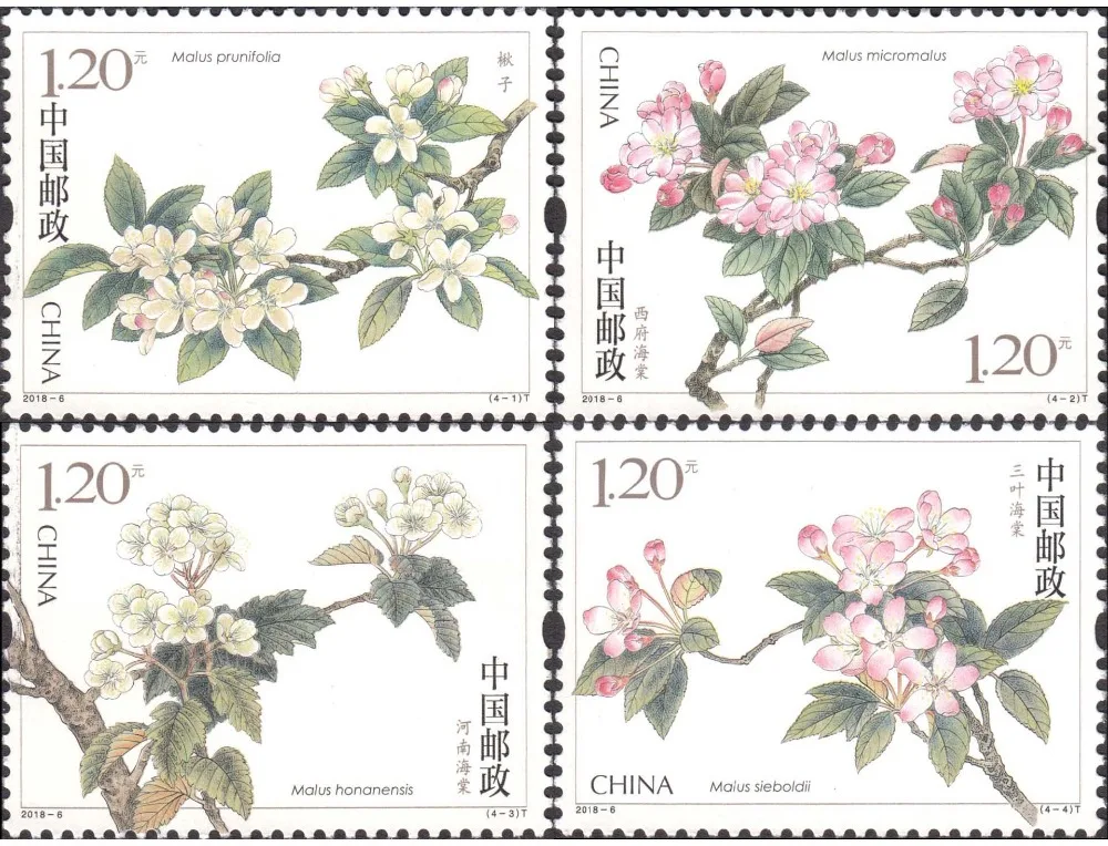 4 шт набор 2018-6 китайские цветы Бегония почта Китая Марки почтовая коллекция | Дом