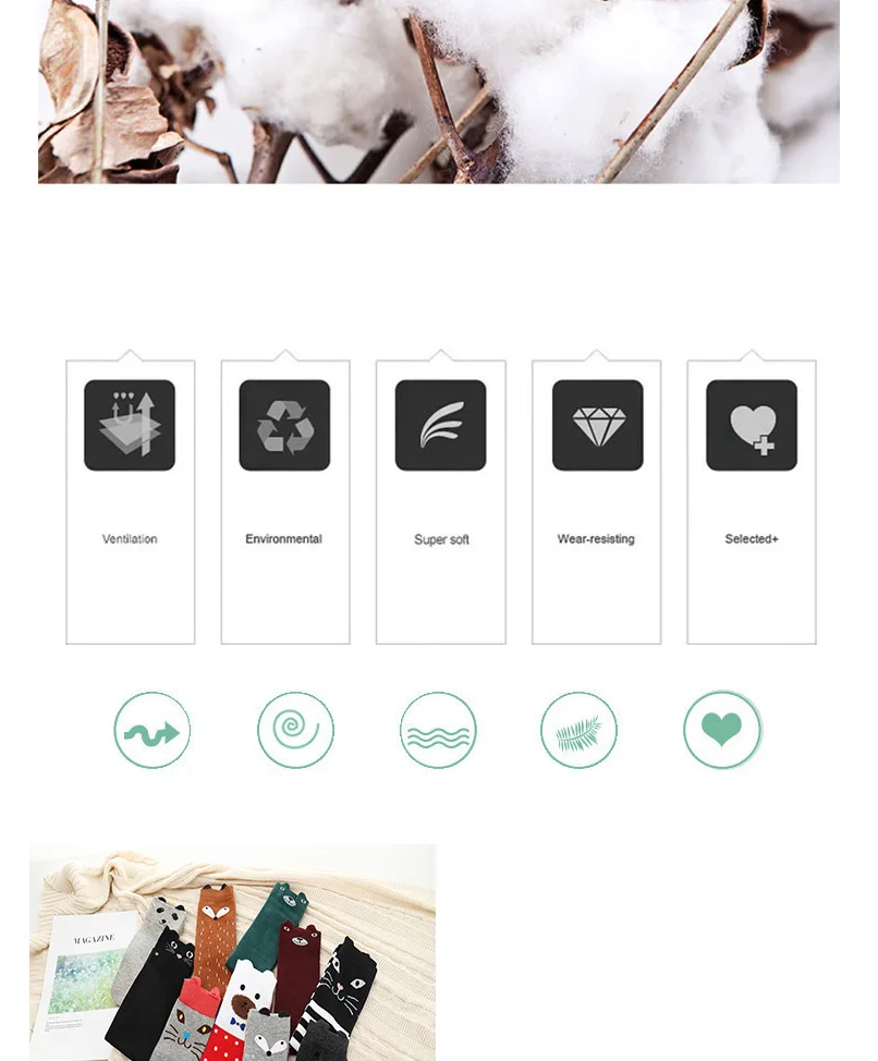 _---_02