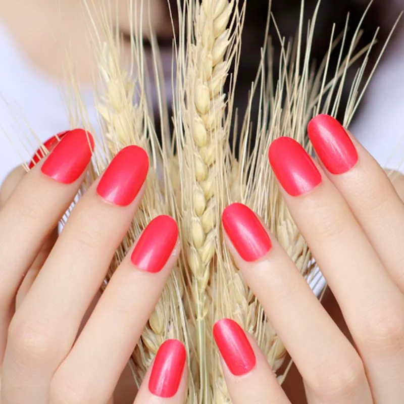 Oval Red Fake Nails Short Glossy Rounded Impress Press On Nails Medium For Girls Acrylic Nail False Artificial Fingernails Fake
Oval Red Fake Nails Short Glossy Rounded Impress Press On Nails Medium For Girls Acrylic Nail False Artificial Fingernails Fake