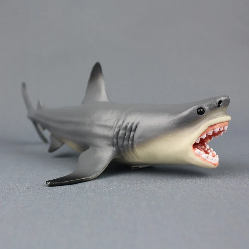 Megalodon Shark Ocean Education Model Giant Tooth Shark Aquatic Creatures Wild Animals Zoo Modeling Plastic Sea Lift Toy
Megalodon Shark Ocean Education Model Giant Tooth Shark Aquatic Creatures Wild Animals Zoo Modeling Plastic Sea Lift Toy
