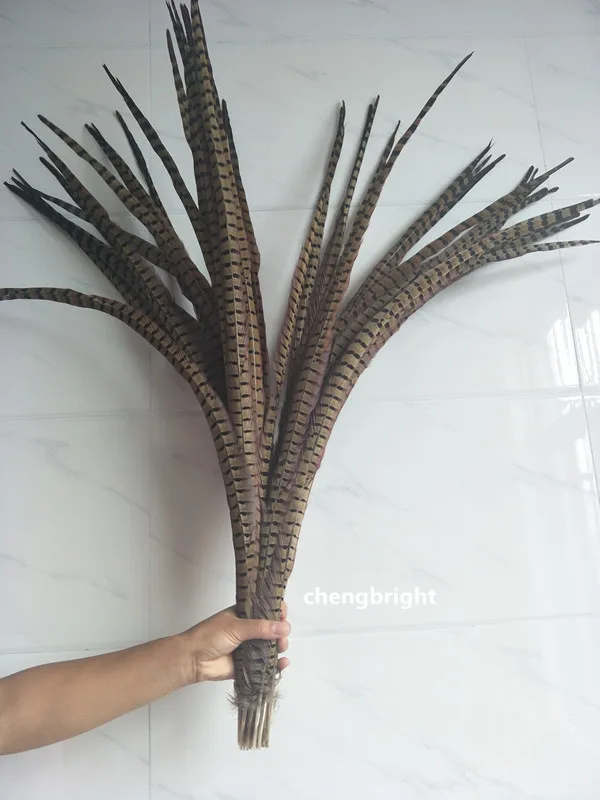 Wholesale 50pcs natural pheasant feathers 90-100cm/36-40inch Wedding Stage performance Clothes & Accessories Carnival diy
Wholesale 50pcs natural pheasant feathers 90-100cm/36-40inch Wedding Stage performance Clothes & Accessories Carnival diy