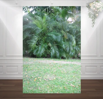 HUAYI palm tree coconut tree photography grassland meadow backdrop summer natural landscrape background xt-3419