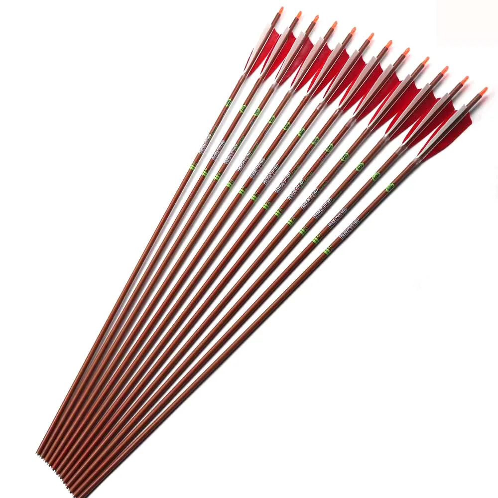 12pc 30 inches Wood Skin Carbon Arrow Spine 400 500 ID6.2 mm With Feather For Bow Shooting Hunting
12pc 30 inches Wood Skin Carbon Arrow Spine 400 500 ID6.2 mm With Feather For Bow Shooting Hunting