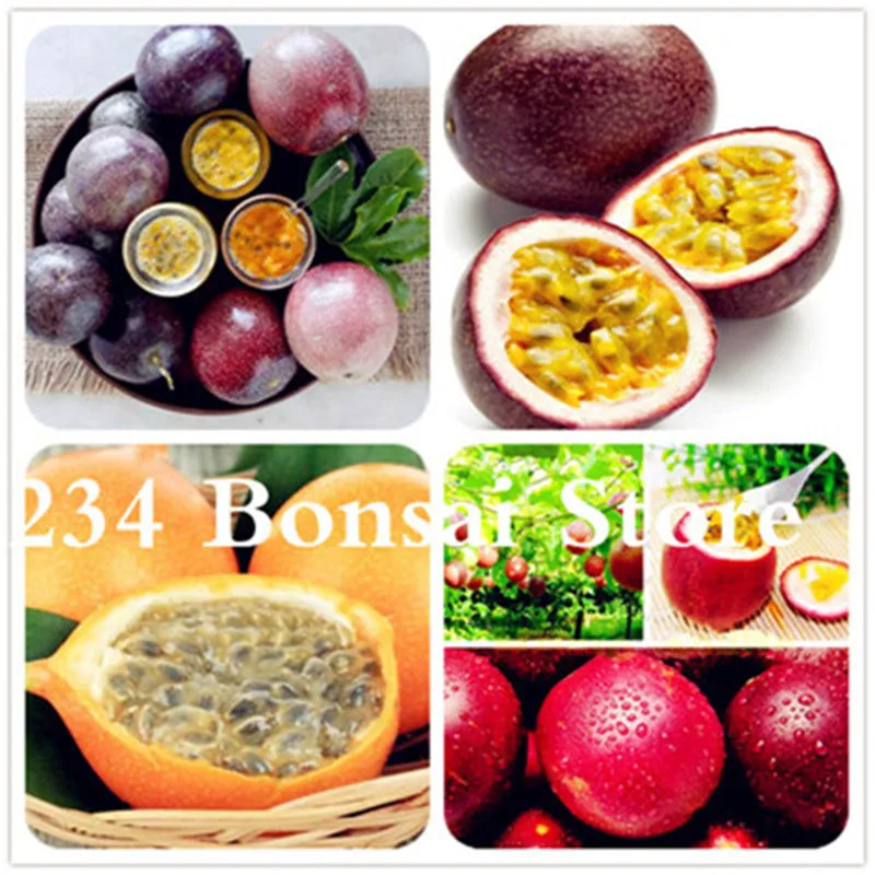 Hot Sale! 10 pcs/bag Orange Yellow Colombia Passion Fruit ,Granada, Passiflora Ligularis,Perennial Sweet Granadilla For Garden
Hot Sale! 10 pcs/bag Orange Yellow Colombia Passion Fruit ,Granada, Passiflora Ligularis,Perennial Sweet Granadilla For Garden