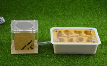 Ant Nest Plaster Feeding Tower Ant Farm Plaster Insect Nests Villa Pet Mania For House Ants Farm Accessories Ant Nest
Ant Nest Plaster Feeding Tower Ant Farm Plaster Insect Nests Villa Pet Mania For House Ants Farm Accessories Ant Nest