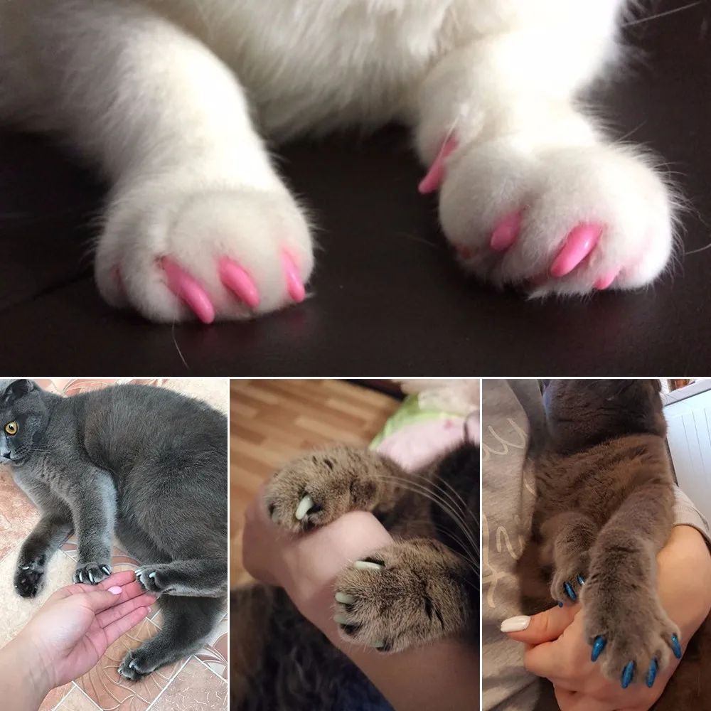 20pcs Silicone Soft Pet Nail Covers Cat Nails Caps Pets Claw Paws Cover With Free Glue And Applicator Protection Pet Accessories
20pcs Silicone Soft Pet Nail Covers Cat Nails Caps Pets Claw Paws Cover With Free Glue And Applicator Protection Pet Accessories