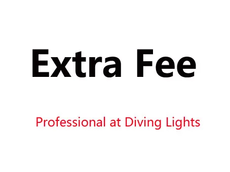 extra fee