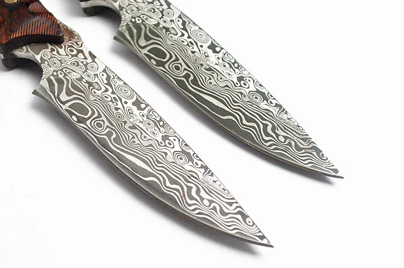 4384587733_1611285389