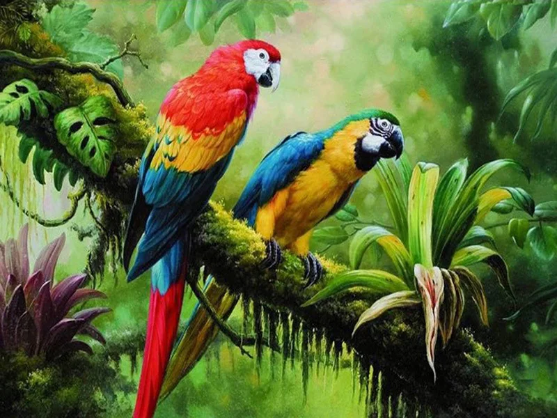 5D DIY Diamond Embroidery Parrot Cartoon Full Drill Rhinestone cross stitch kits handmade embroider Crafts for child
5D DIY Diamond Embroidery Parrot Cartoon Full Drill Rhinestone cross stitch kits handmade embroider Crafts for child