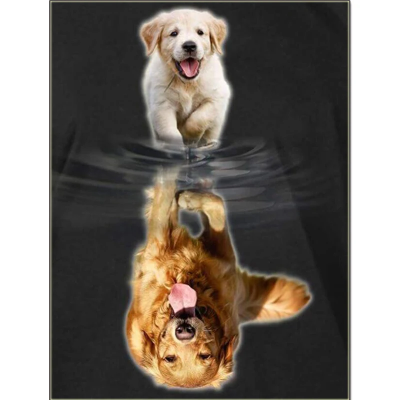 Dogs Growth 5D DIY Diamond Painting Cross Stitch Kit Full Square Diamond Embroidery Diamond Mosaic Needlework
Dogs Growth 5D DIY Diamond Painting Cross Stitch Kit Full Square Diamond Embroidery Diamond Mosaic Needlework