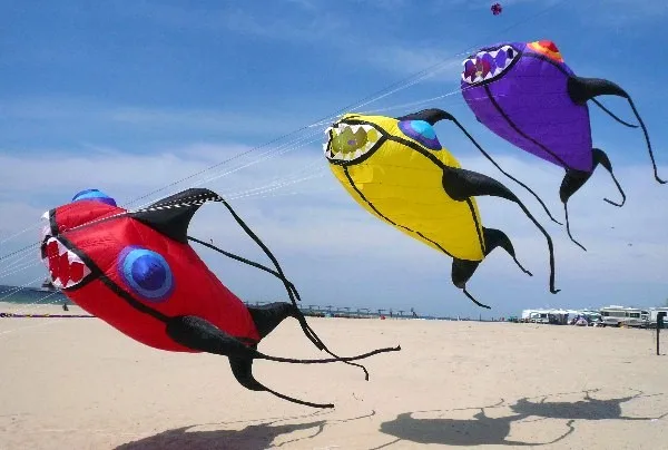 kids fun factory beach Dolphins software pendant single port kite cerf volant gift craft windsocks fishing jellyfish cycling bar
kids fun factory beach Dolphins software pendant single port kite cerf volant gift craft windsocks fishing jellyfish cycling bar