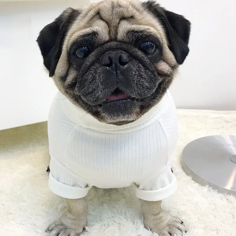 Cotton Pet Shirt Solid Pet Dog Clothes Soft Autumn Winter Clothing For Small Dogs Puppy Outfit French Bulldog Pug Pet Clothes
Cotton Pet Shirt Solid Pet Dog Clothes Soft Autumn Winter Clothing For Small Dogs Puppy Outfit French Bulldog Pug Pet Clothes
