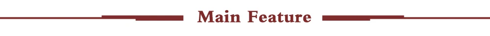 Main Feature