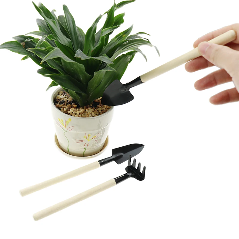 3pc Gardening Bonsai Tools Mini Garden For Tools Small Shovel Hoe Hoe Plant Potted Flowers Portable Tool
3pc Gardening Bonsai Tools Mini Garden For Tools Small Shovel Hoe Hoe Plant Potted Flowers Portable Tool