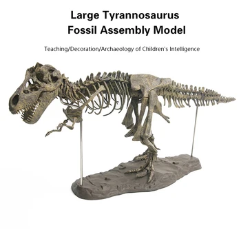 Simulation Animal Model 4D Tyrannosaurus Rex Excavation Science Kit Dig Up Dinosaur Assemble Skeleton Ancient Fossil Skull Toys
Simulation Animal Model 4D Tyrannosaurus Rex Excavation Science Kit Dig Up Dinosaur Assemble Skeleton Ancient Fossil Skull Toys