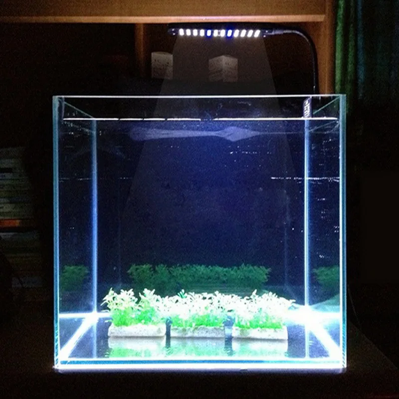 UK Fish Tank Light 2 Working Modes White Blue Pet Fish Tank Water Plant 48 LEDs 3W Clip Light Lighting Lamp Aquarium Accessories
UK Fish Tank Light 2 Working Modes White Blue Pet Fish Tank Water Plant 48 LEDs 3W Clip Light Lighting Lamp Aquarium Accessories