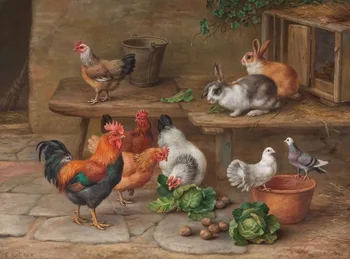 Special offer # TOP home Decor art -Poultry Cock rooster Rabbit dove art oil painting on canvas- 30 inches-good quality
Special offer # TOP home Decor art -Poultry Cock rooster Rabbit dove art oil painting on canvas- 30 inches-good quality