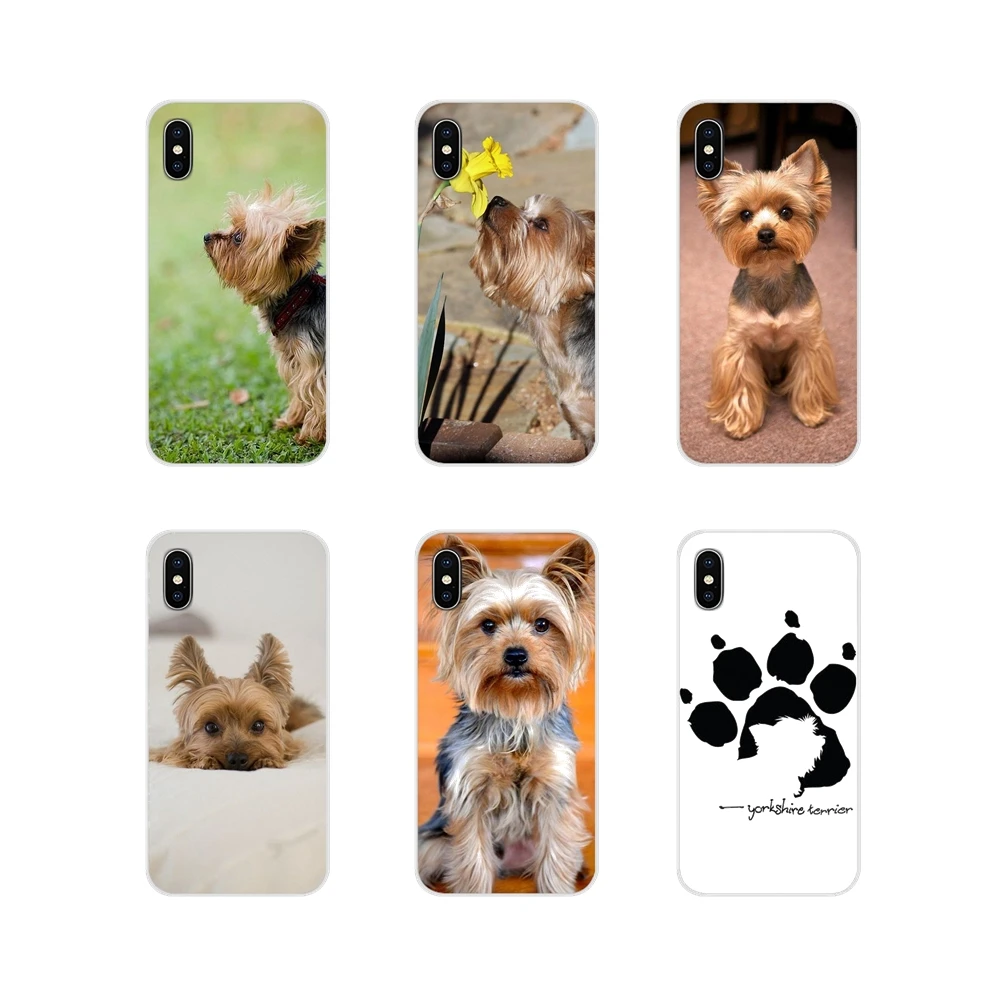 Cute Yorkshire Terrier Puppy Dog Silicone Shell Covers For Samsung Galaxy J1 J2 J3 J4 J5 J6 J7 J8 Plus 2018 Prime 2015 2016 2017
Cute Yorkshire Terrier Puppy Dog Silicone Shell Covers For Samsung Galaxy J1 J2 J3 J4 J5 J6 J7 J8 Plus 2018 Prime 2015 2016 2017