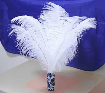 50pcs 40-45cm / 16-18 inch Ostrich white fluffy feathers plumes wedding party table centerpieces home decoration bulk sale 
50pcs 40-45cm / 16-18 inch Ostrich white fluffy feathers plumes wedding party table centerpieces home decoration bulk sale