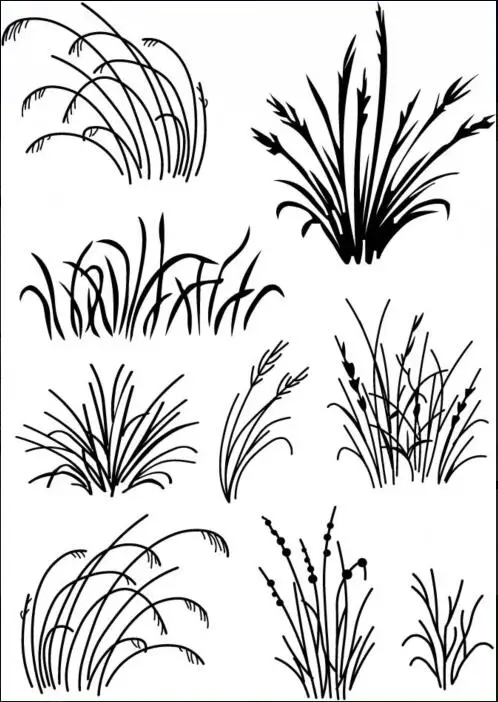 Weeds Transparent Clear Stamps for DIY Scrapbooking/Card Making/Kids Christmas Fun Decoration Supplies ST0015
Weeds Transparent Clear Stamps for DIY Scrapbooking/Card Making/Kids Christmas Fun Decoration Supplies ST0015