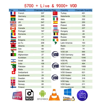 IPTV Subscription French italia Dutch Arabic Spain Sweden Portugal Poland Nordic USA UK Indian latino android Smart IPTV M3U
IPTV Subscription French italia Dutch Arabic Spain Sweden Portugal Poland Nordic USA UK Indian latino android Smart IPTV M3U