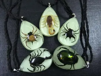 FREE SHIPPING 50 PCS NEW REAL SCORPION SPIDER BEETLE PENDANT INSECT JEWELRY TAXIDERMY
FREE SHIPPING 50 PCS NEW REAL SCORPION SPIDER BEETLE PENDANT INSECT JEWELRY TAXIDERMY