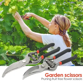 Anti-slip Gardening Pruning Shear Garden Scissors Plants Grafting Cutter High Carbon Steel Cutting Tools for Garden
Anti-slip Gardening Pruning Shear Garden Scissors Plants Grafting Cutter High Carbon Steel Cutting Tools for Garden